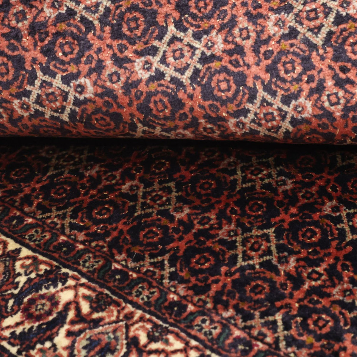 Perserteppich - Bidjar - 143 x 85 cm - rost