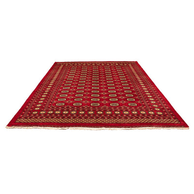Tappeto Pakistani 248x320cm - Tappeto orientale