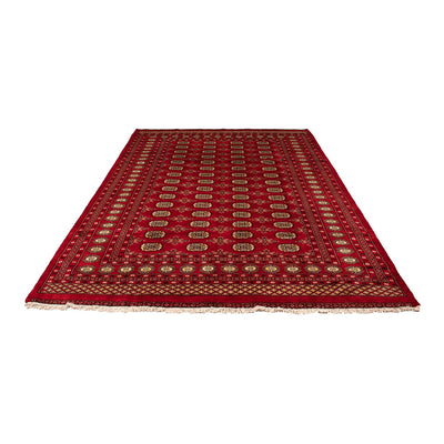 Pakistan Teppich 208x307cm - Orientteppich