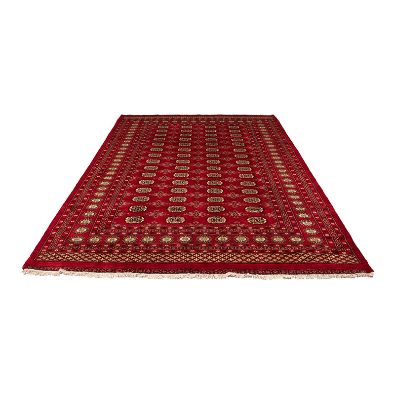 Pakistan Teppich 307 x 208 cm