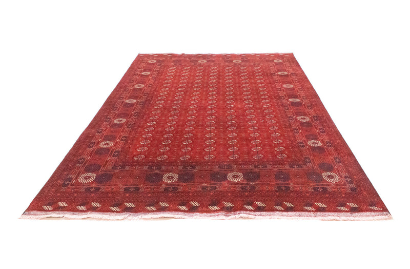 Afghan Teppich - Buchara 292 x 196 cm