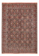 Perserteppich - Bidjar - 292 x 203 cm - hellrot