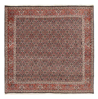 Tapis persan - Bidjar carré  - 205 x 205 cm - rouille