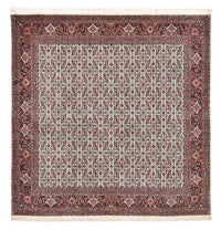 Tapis persan - Bidjar carré  - 210 x 199 cm - multicolore