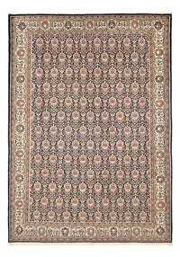 Tappeto Gabbeh - Kashkuli Persero - 290 x 202 cm - multicolore