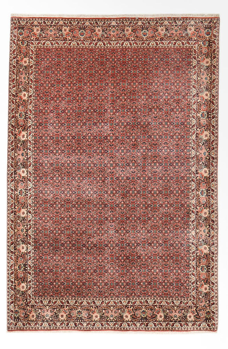 Perserteppich - Bidjar - 297 x 200 cm - rost