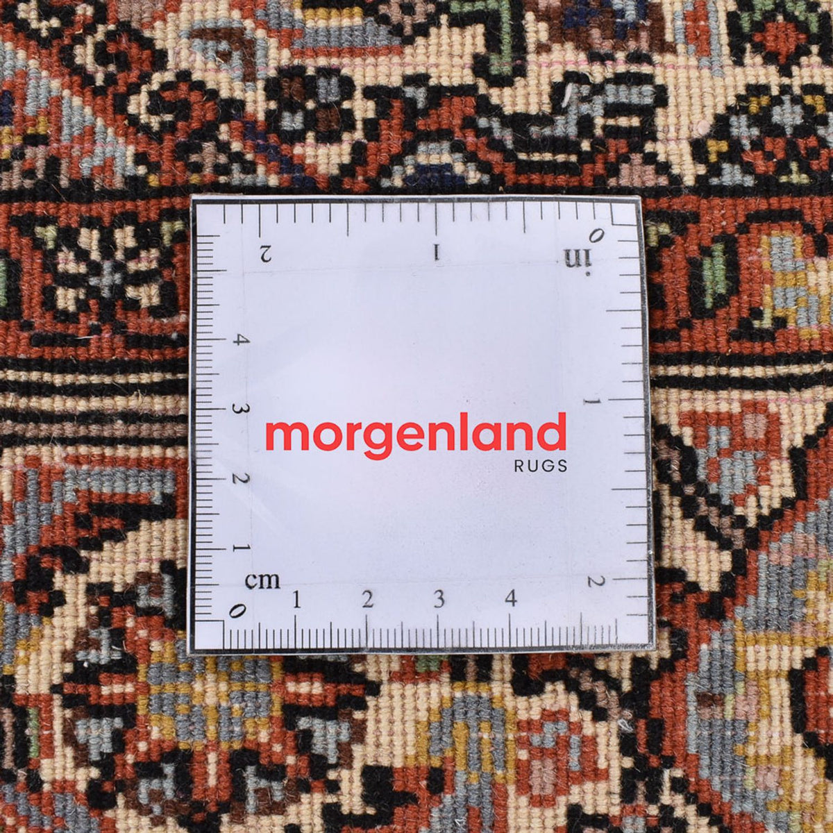 Perserteppich - Bidjar - 162 x 110 cm - rost