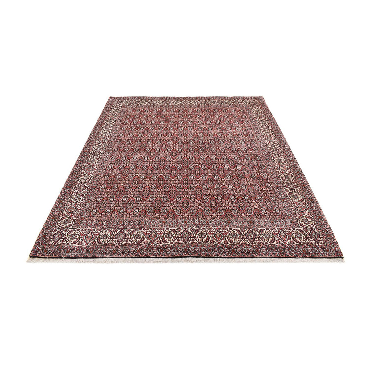 Perserteppich - Bidjar - 250 x 204 cm - rost