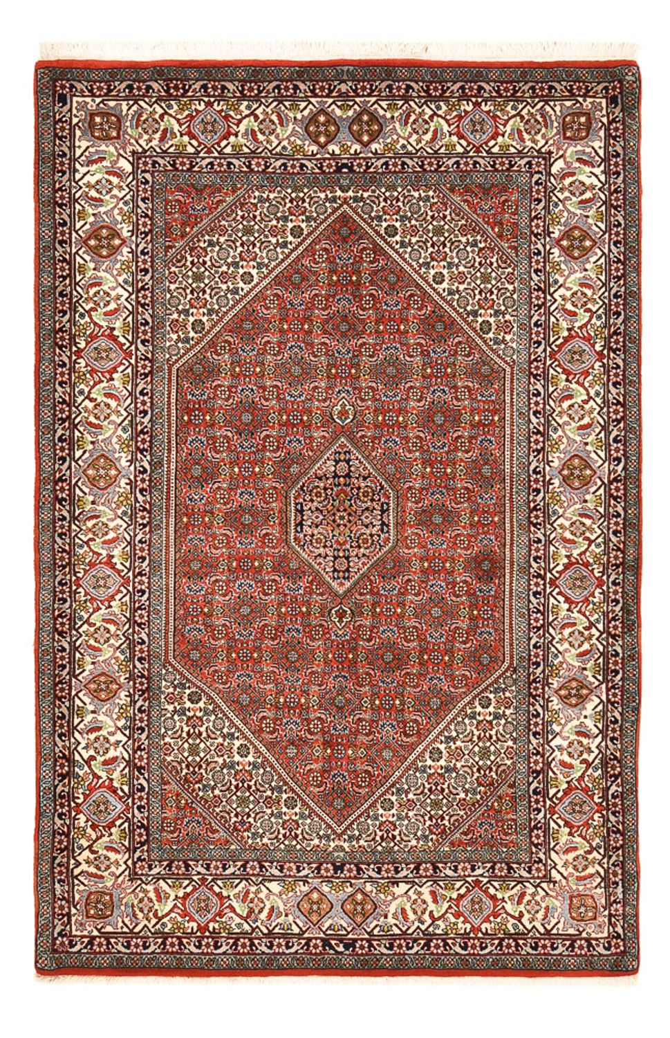 Perserteppich - Bidjar - 222 x 138 cm - rost