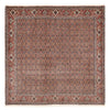 Tapis de Bidjar Tapis 203x204cm - Tapis persan - rouille - Carré / Rouille / 203 x 204 cm Carré