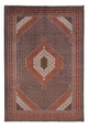 Perserteppich - Nomadic - 320 x 225 cm - rost