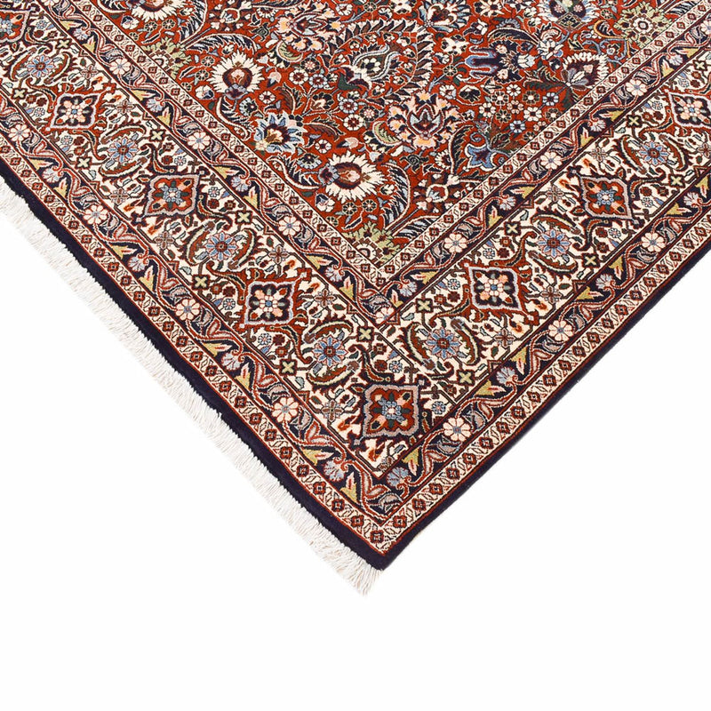 Perserteppich - Bidjar - 300 x 205 cm - rost