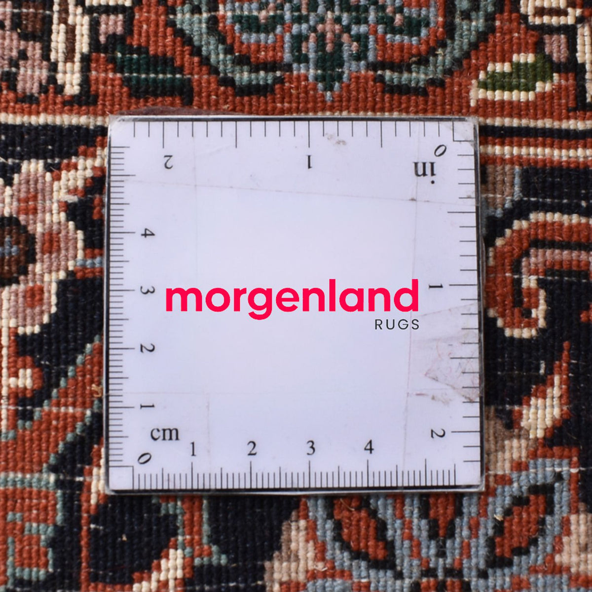 Perserteppich - Bidjar - 302 x 205 cm - sand