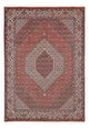 Tapis de Bidjar Tapis 292x205cm - Tapis persan