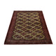 Turkaman Teppich - 178 x 131 cm - mehrfarbig