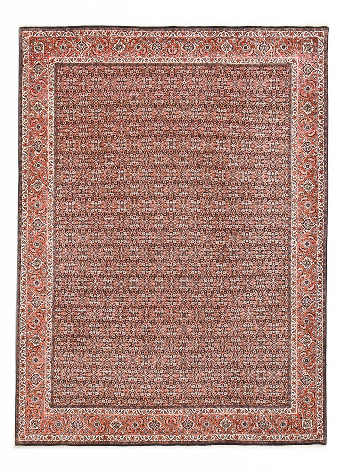 Perserteppich - Bidjar - 350 x 252 cm - rost