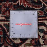 Perserteppich - Bidjar - 300 x 203 cm - rost