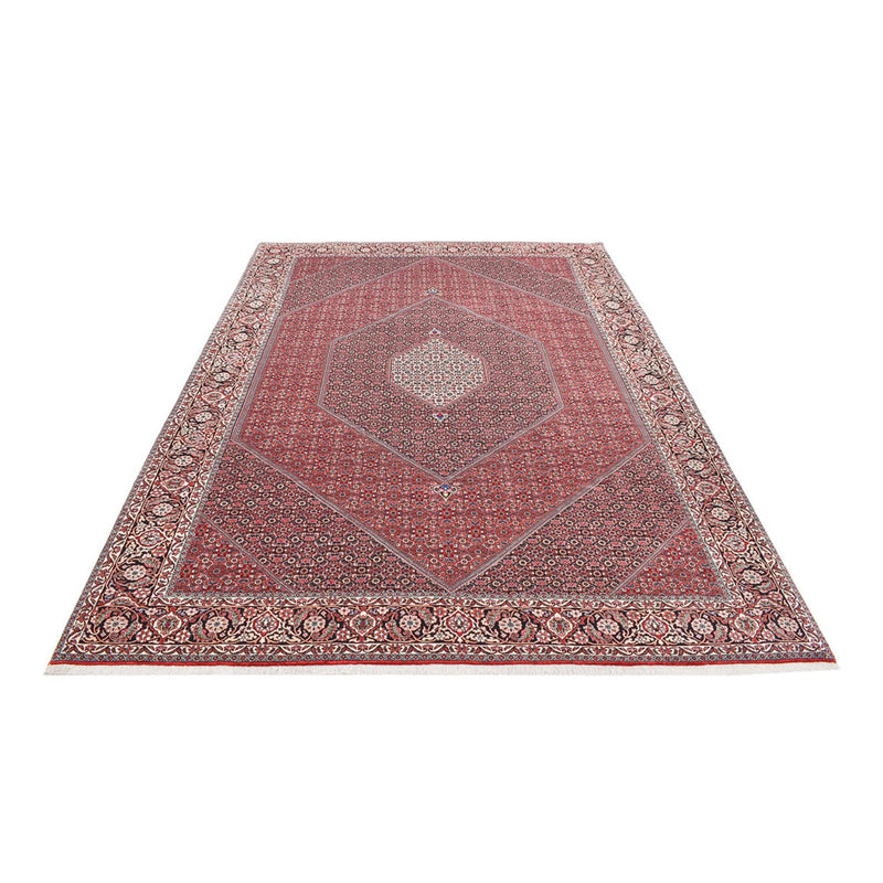 Perserteppich - Bidjar - 354 x 253 cm - rost