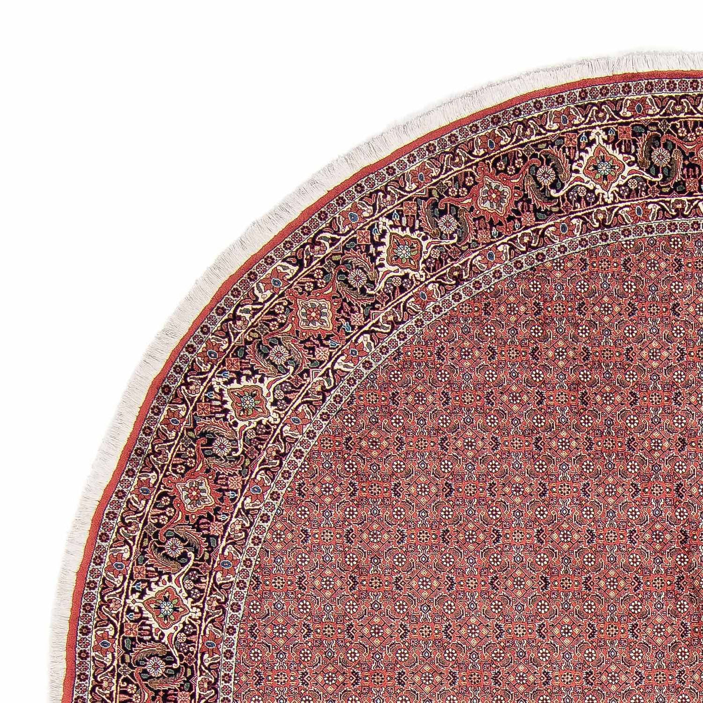 Bidjar Teppich 305x305cm - Perserteppich