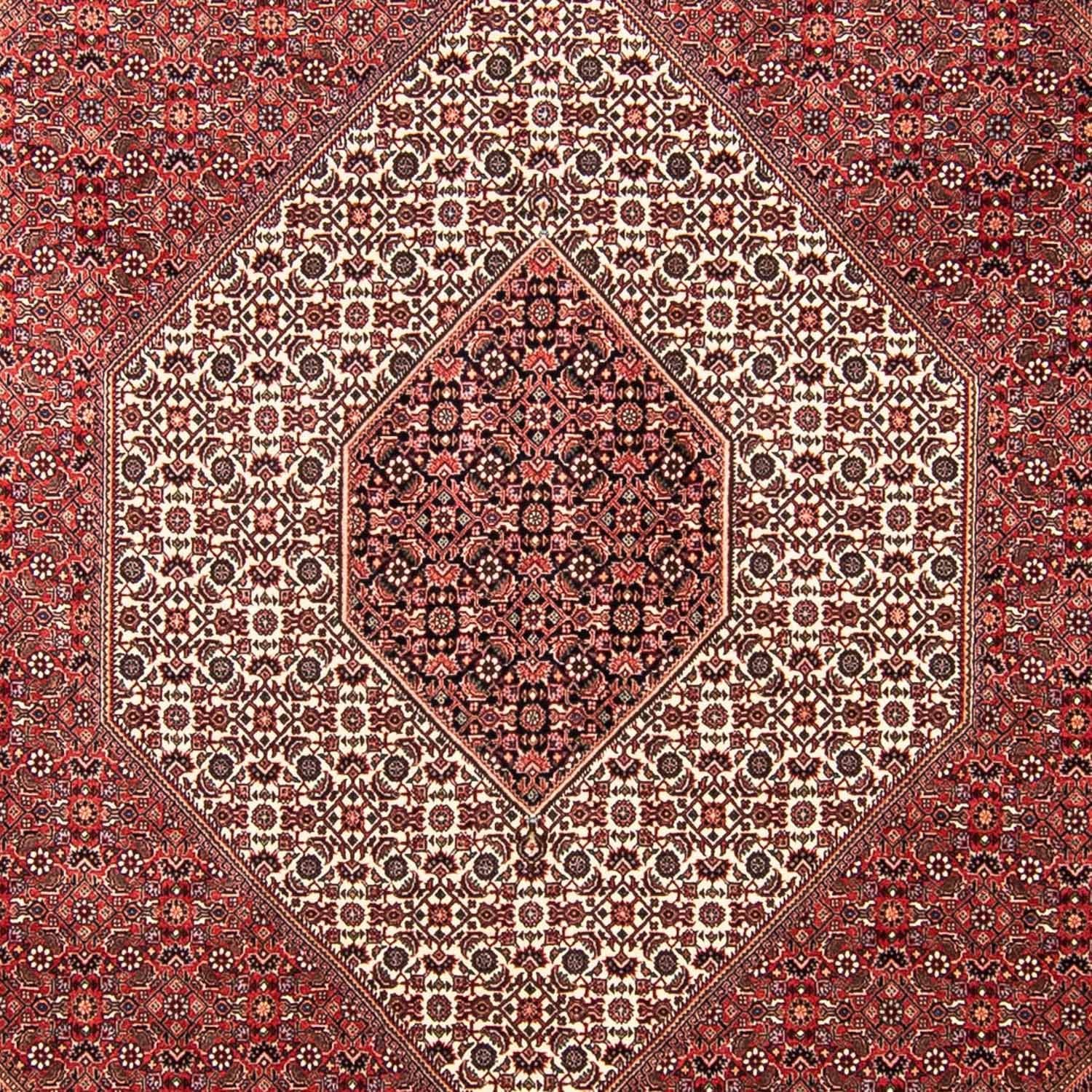 Perserteppich - Bidjar 309 x 256 cm