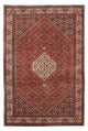 Perserteppich - Bidjar 245 x 167 cm