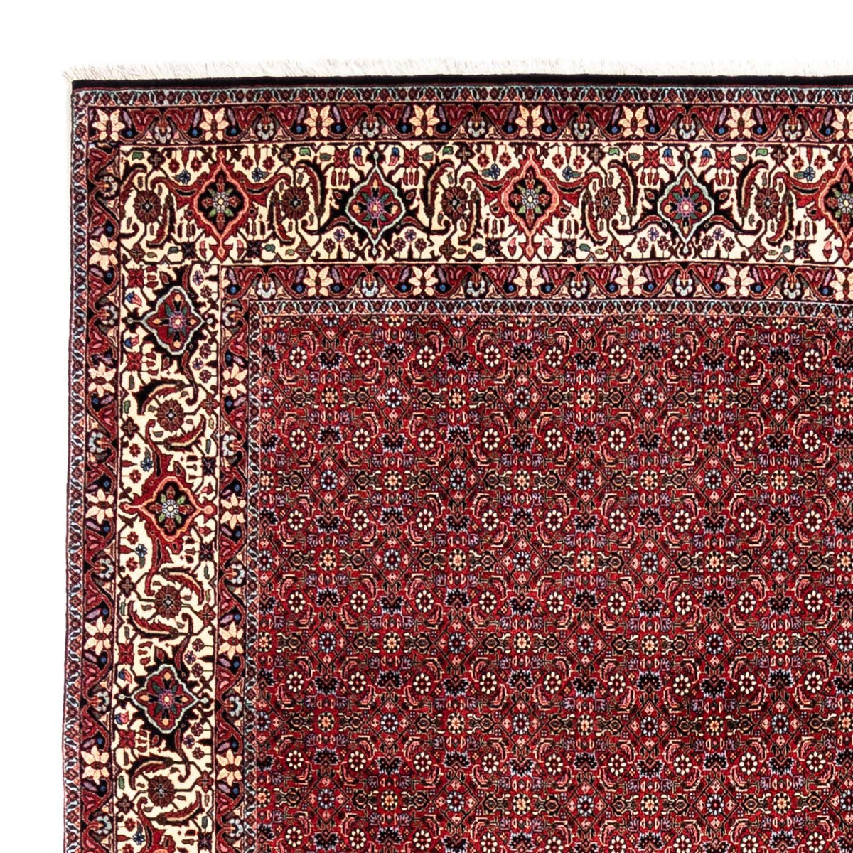 Perserteppich - Bidjar - Royal 331 x 254 cm - rot