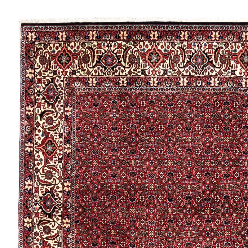 Perserteppich - Bidjar - Royal 331 x 254 cm - rot