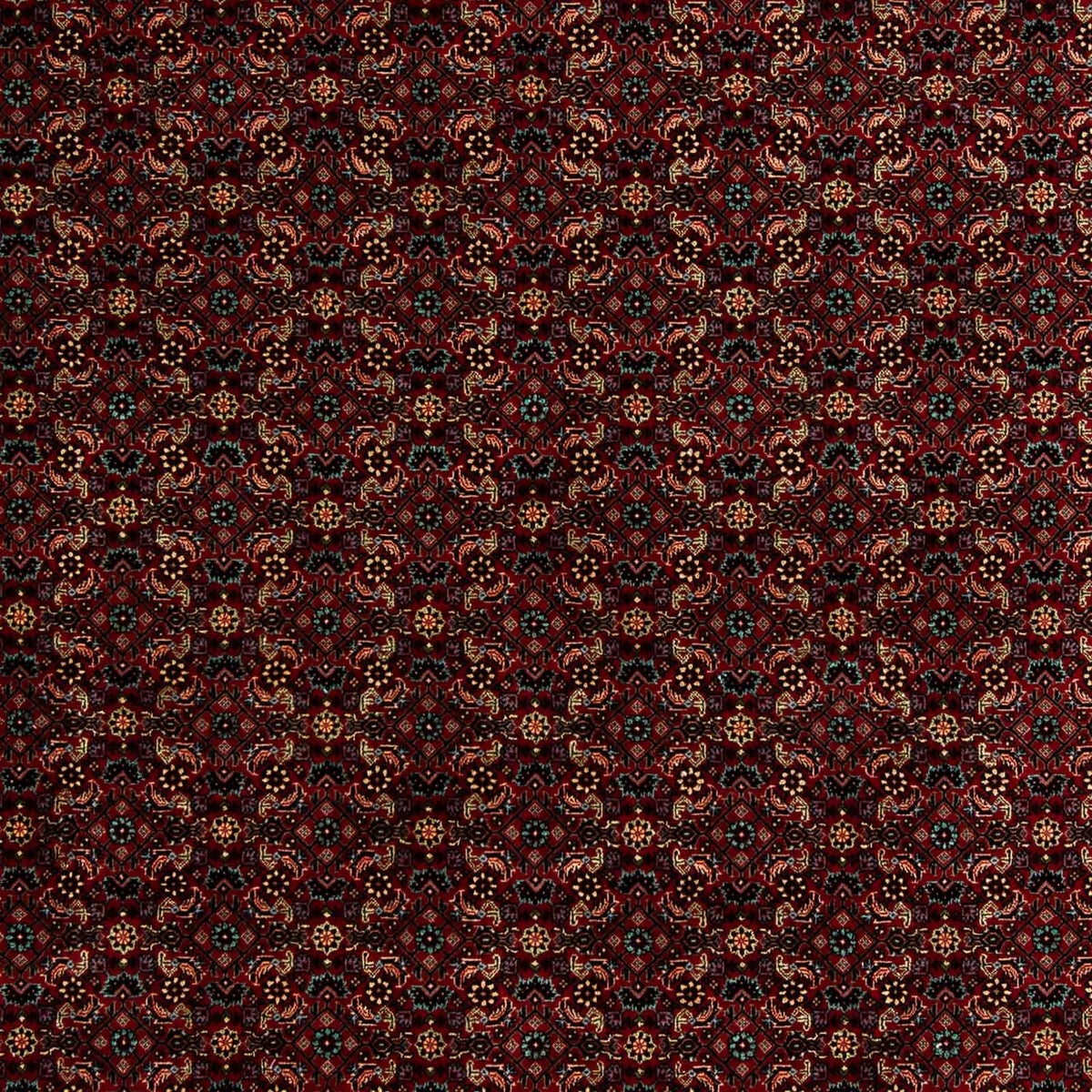 Perserteppich - Bidjar 252 x 206 cm Wohnzimmer Teppich
