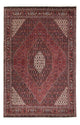 Bidjar Tappeto 246x167cm - Tappeto persiano