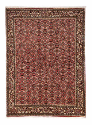 Perserteppich - Bidjar 244 x 172 cm