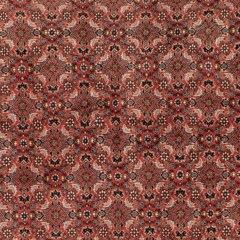 Perserteppich - Bidjar 244 x 172 cm