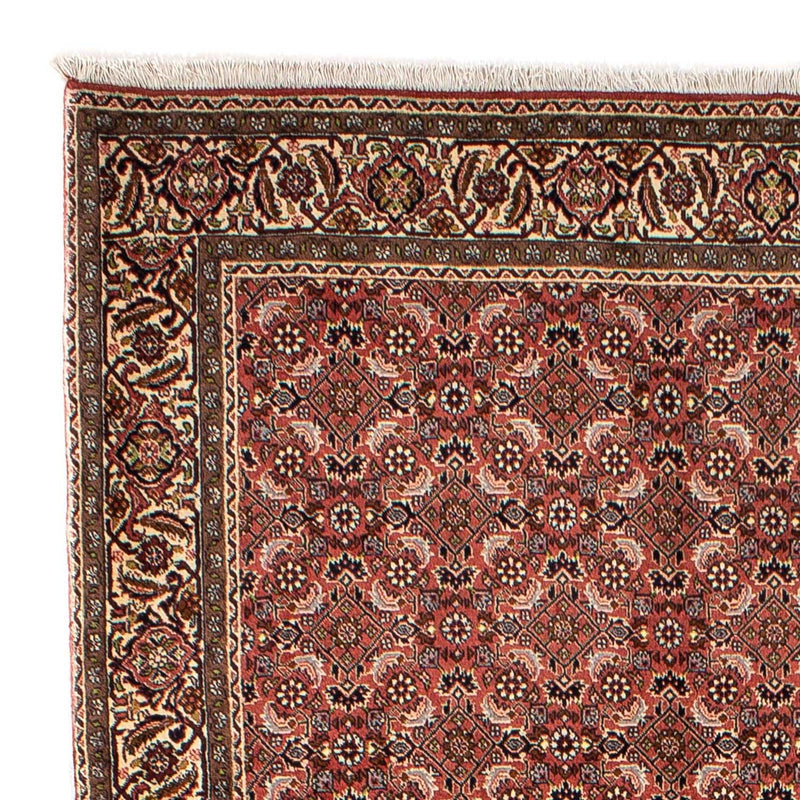 Perserteppich - Bidjar 244 x 172 cm
