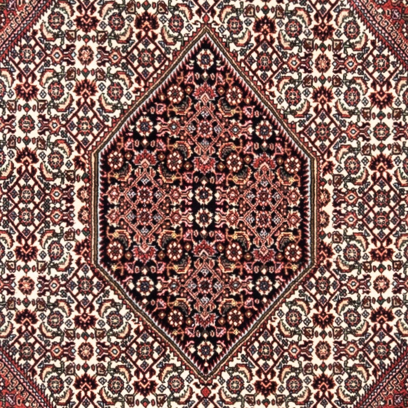 Perserteppich - Bidjar - Royal 295 x 200 cm