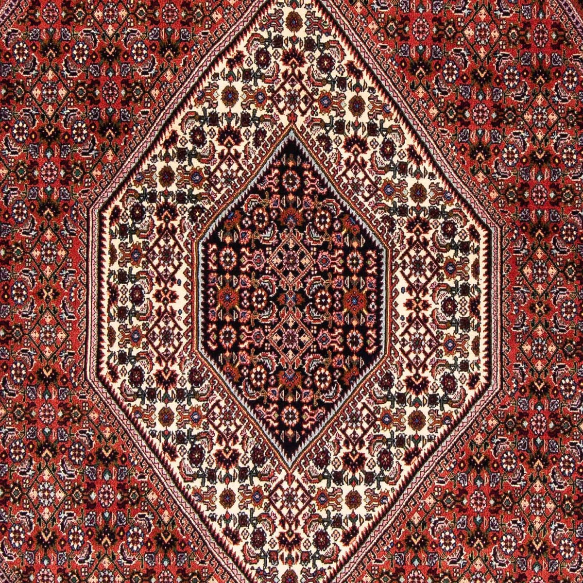 Perserteppich - Bidjar 263 x 168 cm