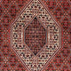 Perserteppich - Bidjar 263 x 168 cm