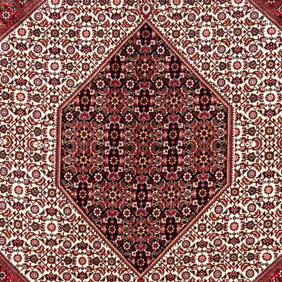 Perserteppich - Bidjar - Royal 360 x 253 cm - rot