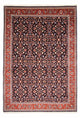 Perserteppich - Bidjar 350 x 243 cm