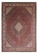 Perserteppich - Bidjar 350 x 251 cm