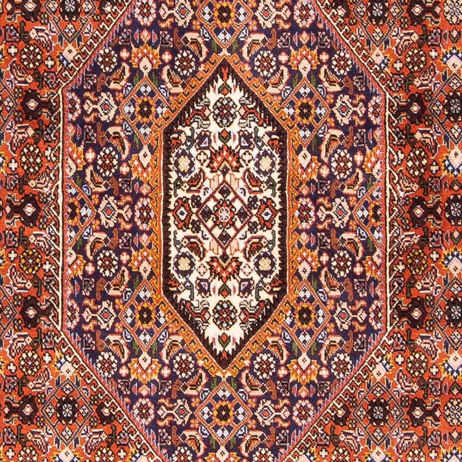 Perserteppich - Bidjar - Royal 176 x 108 cm