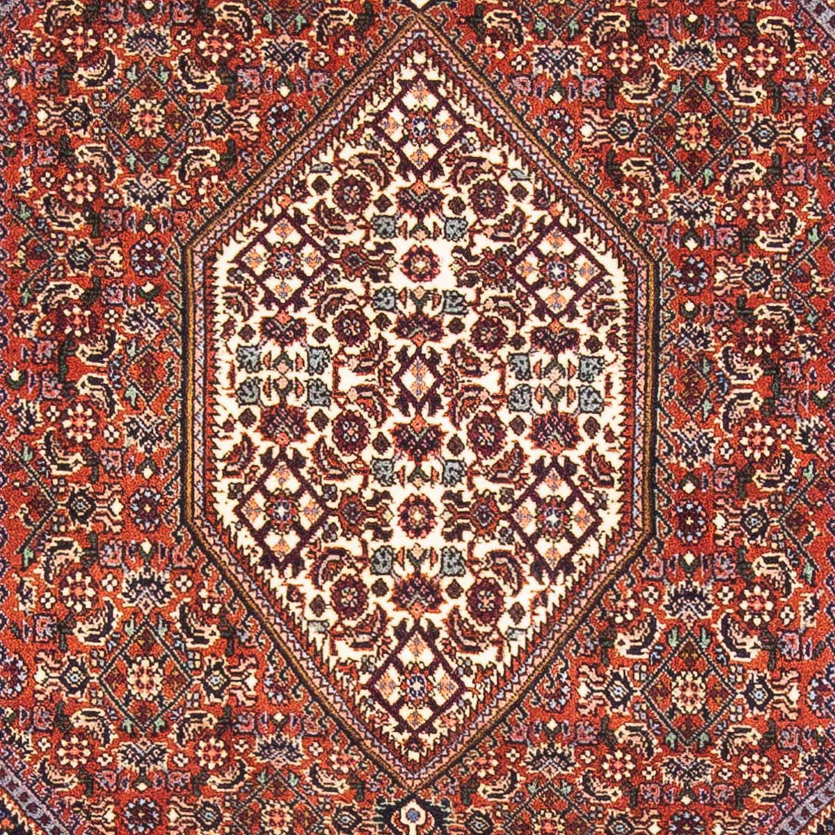 Perserteppich - Bidjar - Royal 152 x 105 cm