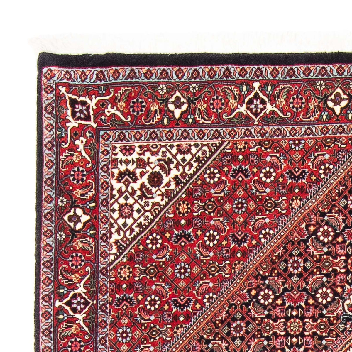 Tapis de Bidjar Tapis 106x168cm - Tapis persan - rouge