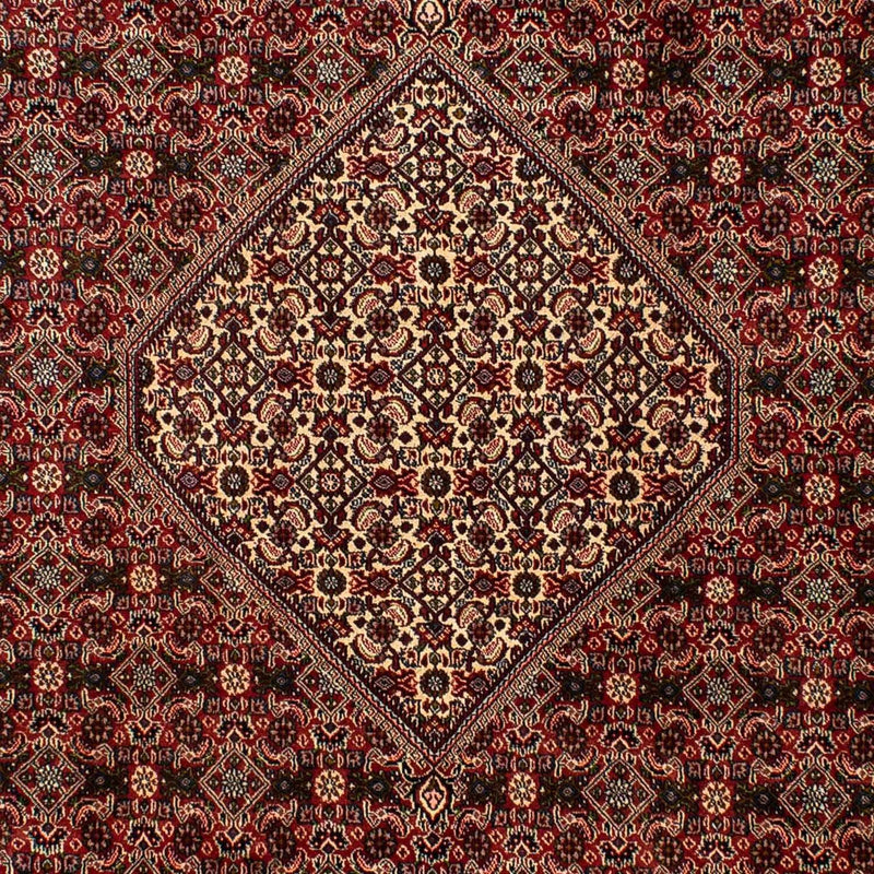 Perserteppich - Bidjar 309 x 197 cm