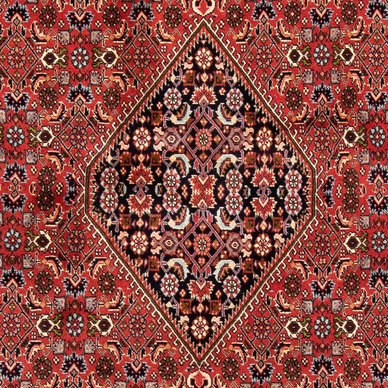 Perserteppich - Bidjar 247 x 169 cm