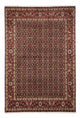 Perserteppich - Nomadic 250 x 170 cm