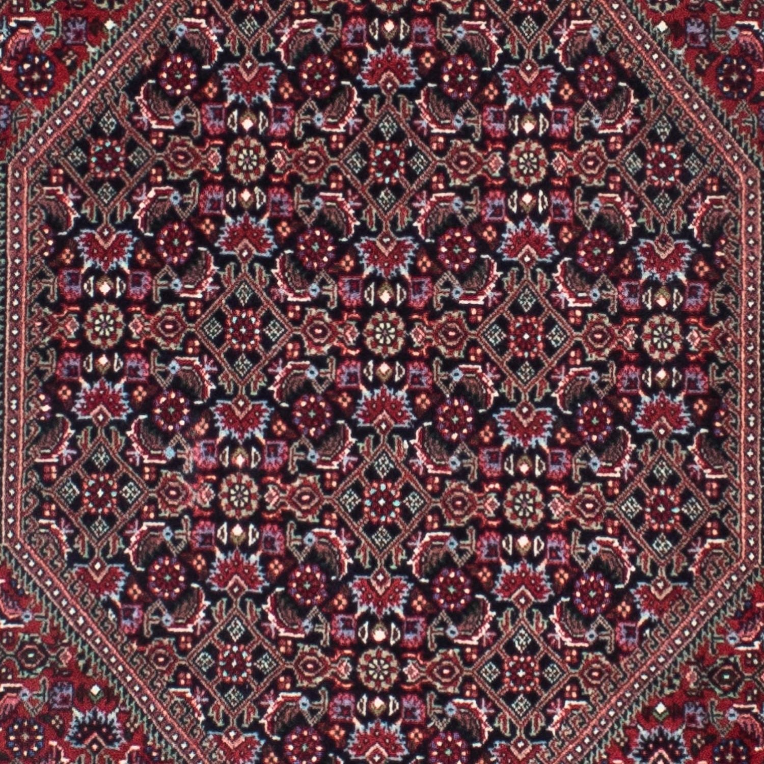 Perserteppich - Bidjar - Royal 310 x 82 cm Teppichläufer