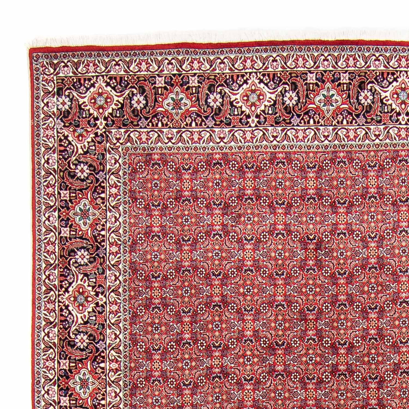 Bidjar Teppich 347x248cm - Perserteppich