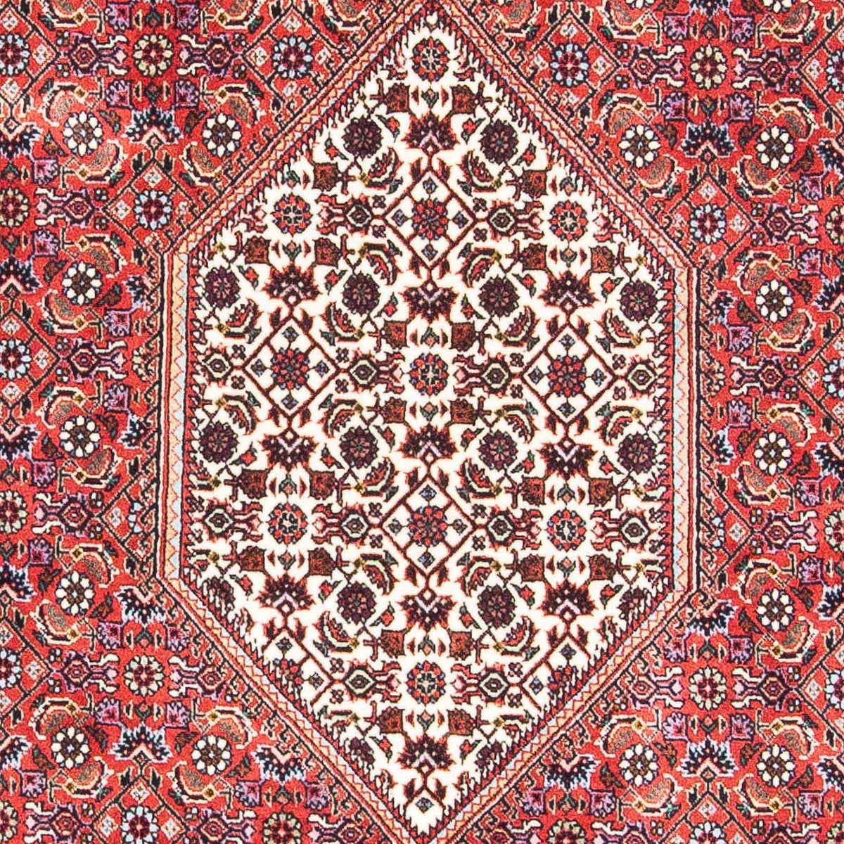 Perserteppich - Bidjar - Royal 178 x 110 cm - rot