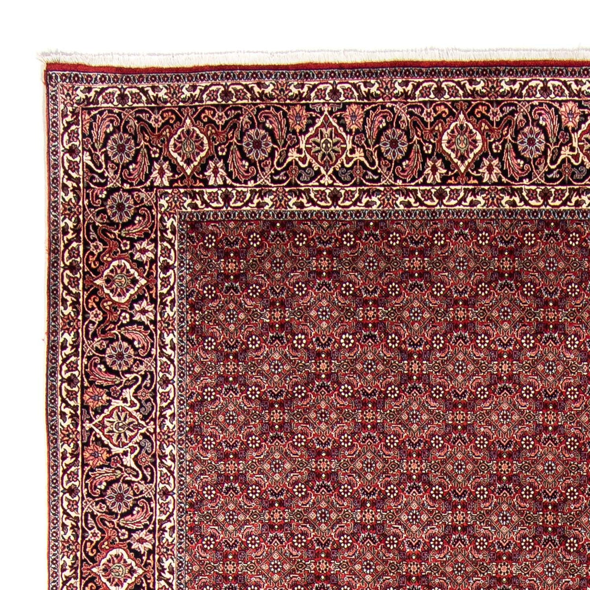 Tapis de Bidjar Tapis 246x350cm - Tapis persan - rouge
