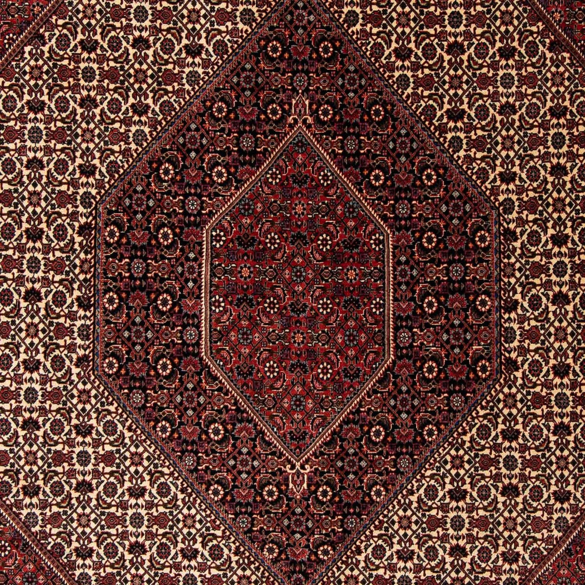 Perserteppich - Bidjar 245 x 202 cm
