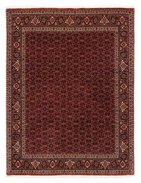 Tappeto Persero - Bidjar - 256 x 202 cm - rosso scuro